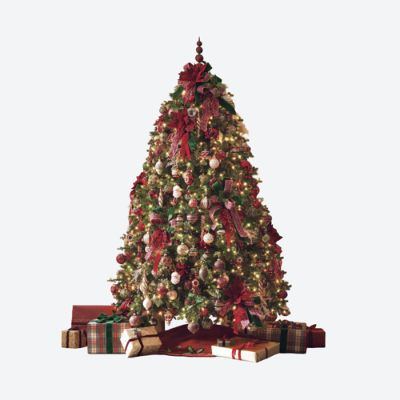 Alpha FreeShip Holiday