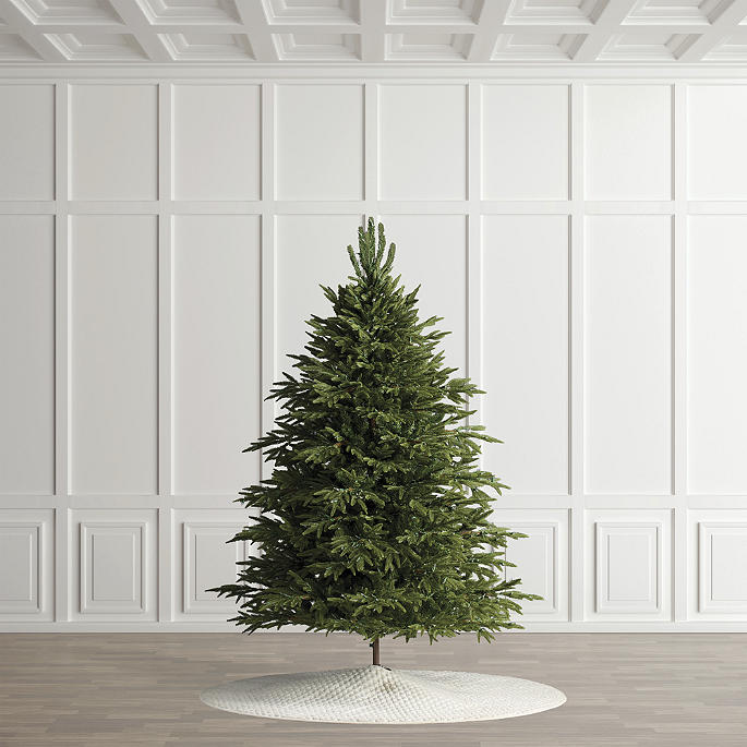 Carolina Fraser Fir Quick-Light Tree