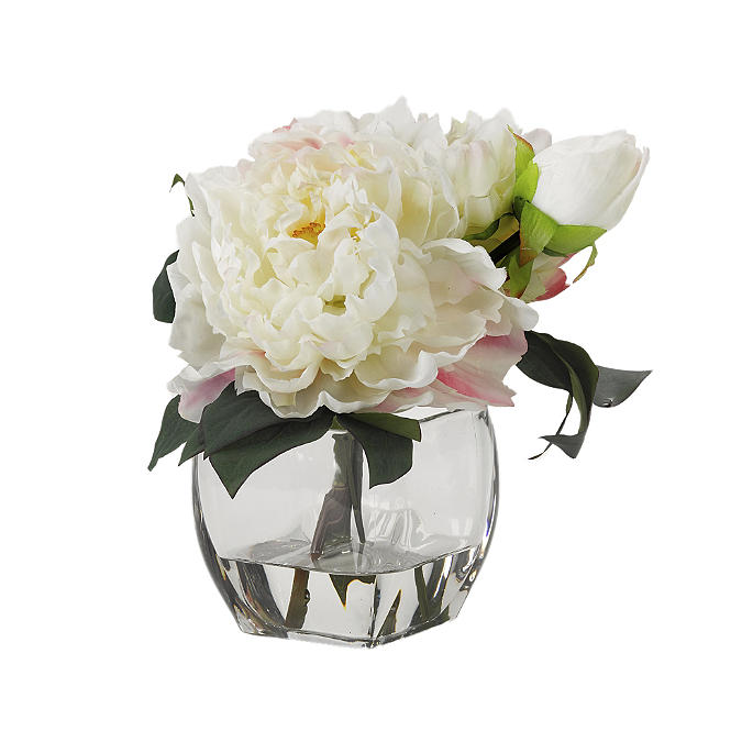 Cream Peonies in Glass Cube