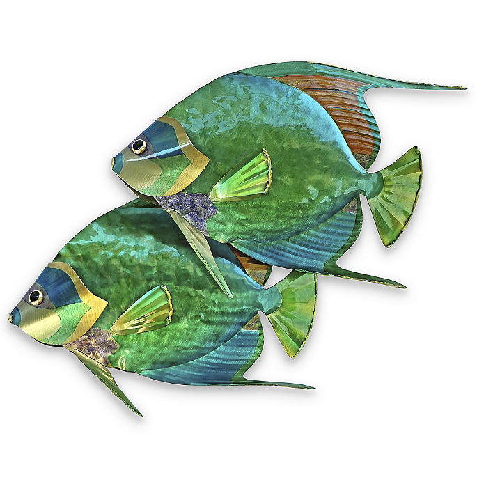 Fiji Angelfish Pair Indoor/Outdoor Wall Art