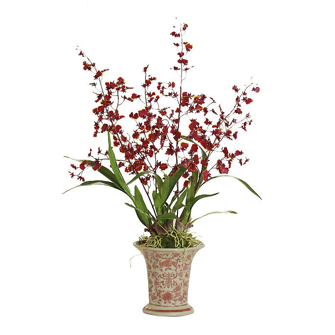 Dancing Oncidium in Ceramic Vase