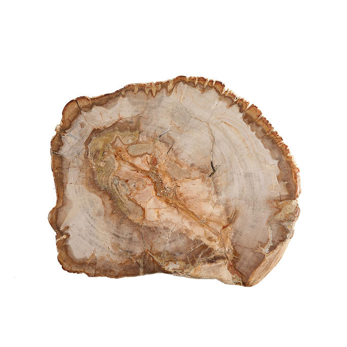 Fortessa Petrified Wood Boards