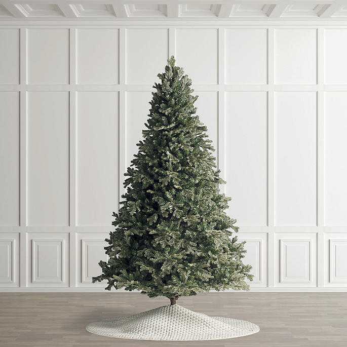 Pacific Grand Fir Tree