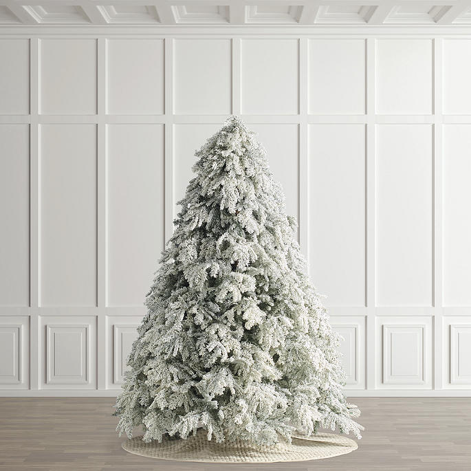 Frosted Canterbury Fir Tree