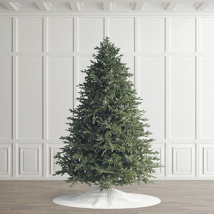 Classic Fraser Fir Full Profile Quick-Light Tree
