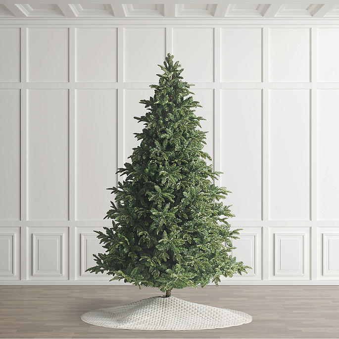 Western Balsam Fir Tree